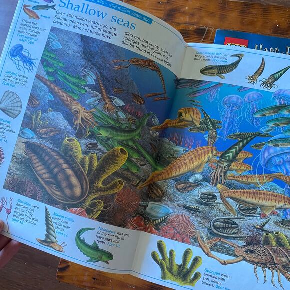 Bundle of 2 Large Paperback Search Books - Picture 2 of 5